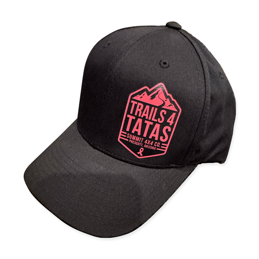 Black Hat with Logo (Snap-Back)